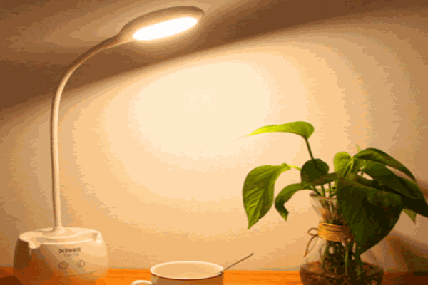 泰格信灯饰