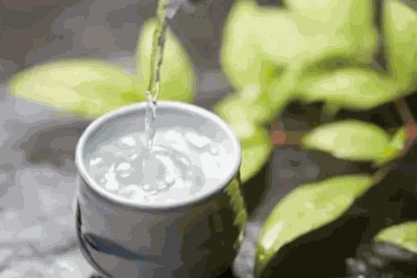 达铭酒业