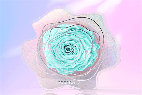 roseonly高端玫瑰及珠宝
