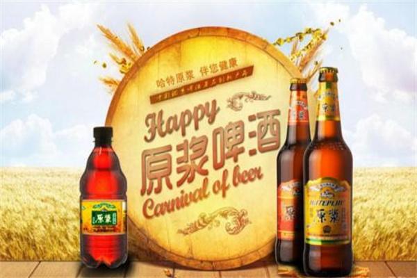 哈特啤酒加盟