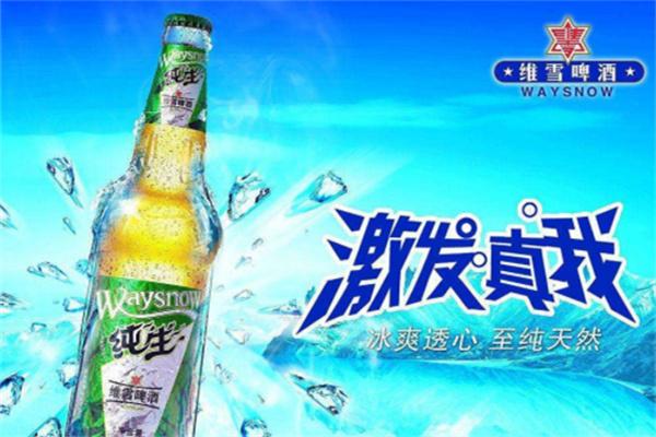 维雪啤酒加盟