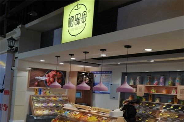 梅槑果休闲零食加盟