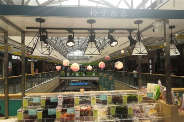 梅子乐乐休闲食品加盟