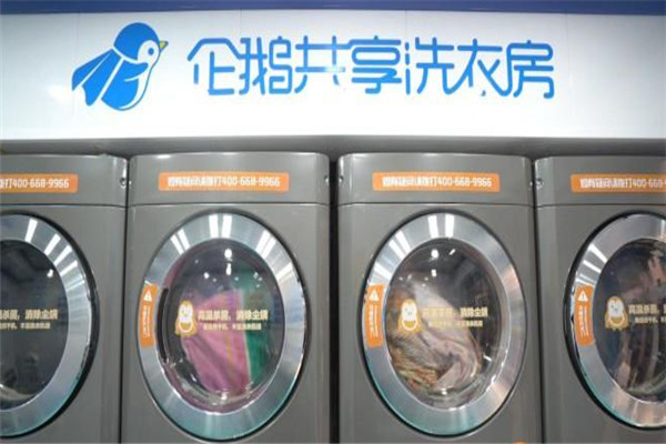 企鹅共享洗衣机加盟