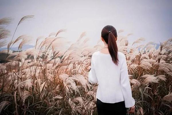 麦迪摄影加盟