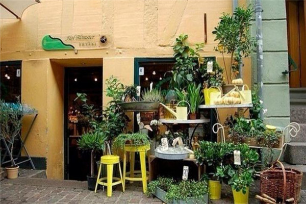 俪缘花店加盟