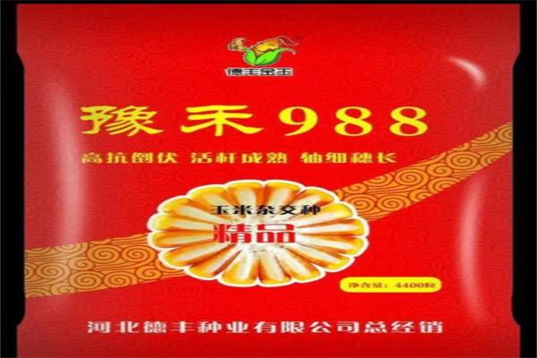 德丰种业加盟
