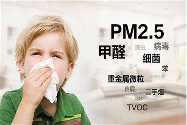 房医生除甲醛加盟