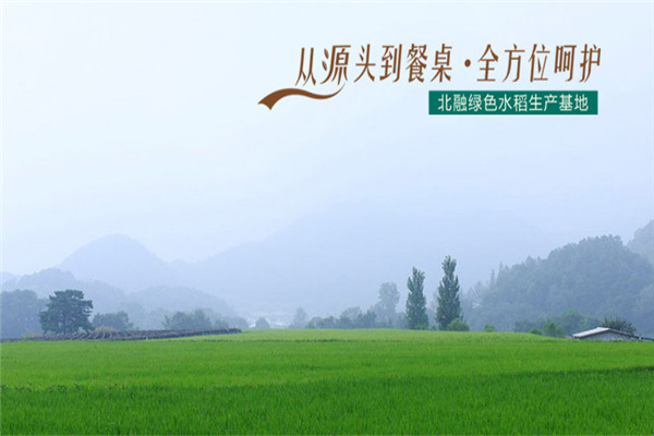北融鲜米坊加盟