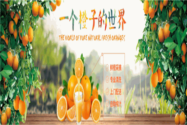 康果乐榨汁机加盟
