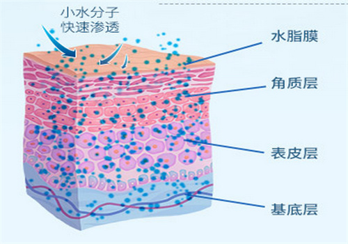 黛莲娜化妆品