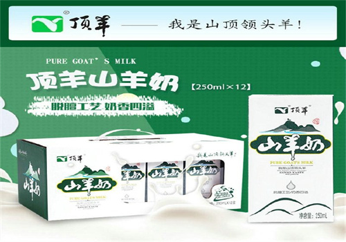 顶羊羊奶