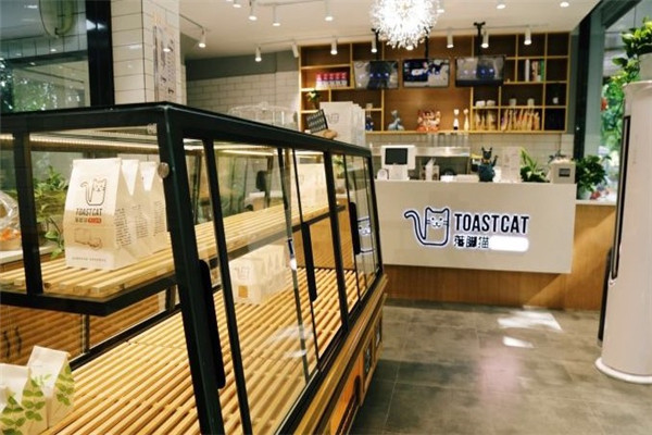 TOAST CAT落脚猫手工吐司