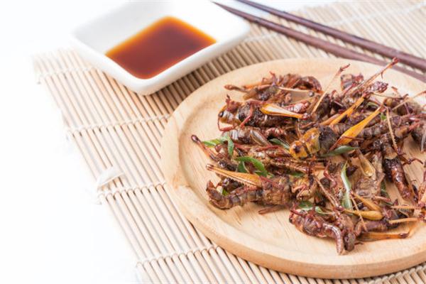 食韵佳煲仔饭加盟