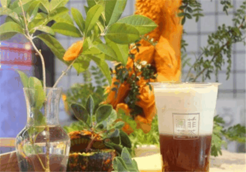 澜菲芝茶加盟