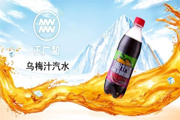 正广和汽水加盟