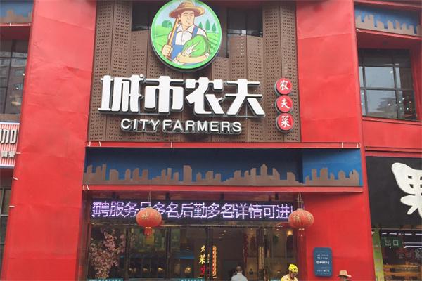 城市农夫农夫菜