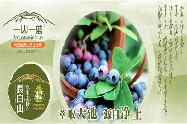 一山一蓝加盟