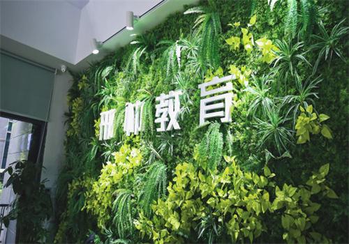 邢帅教育