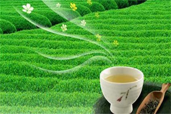 聚丰园茶叶