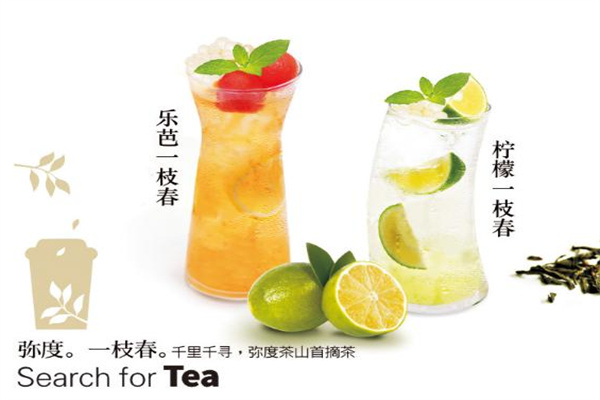 泷饮天下