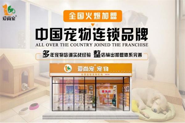 爱尚宠宠物店