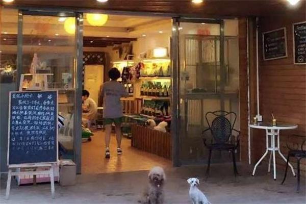 爱尚宠宠物店