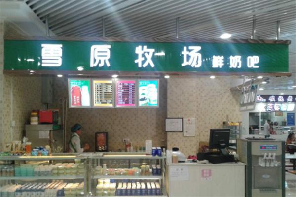 雪原牧场鲜奶吧加盟
