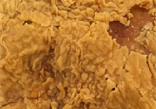 德克仕炸鸡汉堡