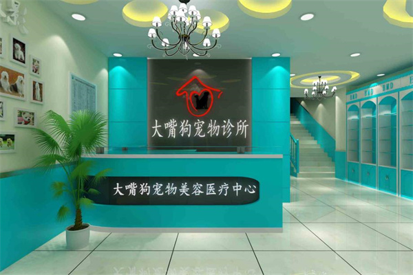 大嘴狗宠物医院