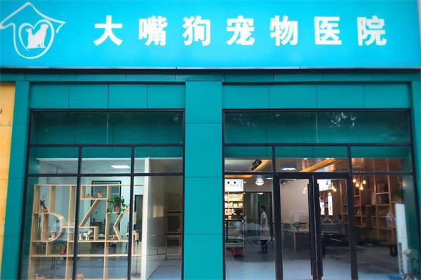 大嘴狗宠物医院
