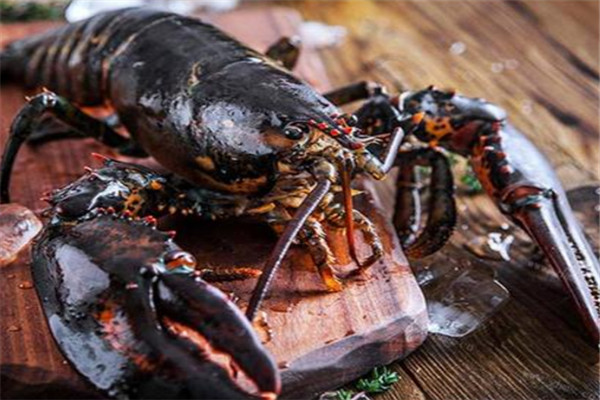 沃鲜汇中餐