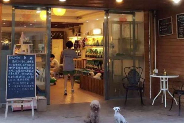 爱尚宠宠物店