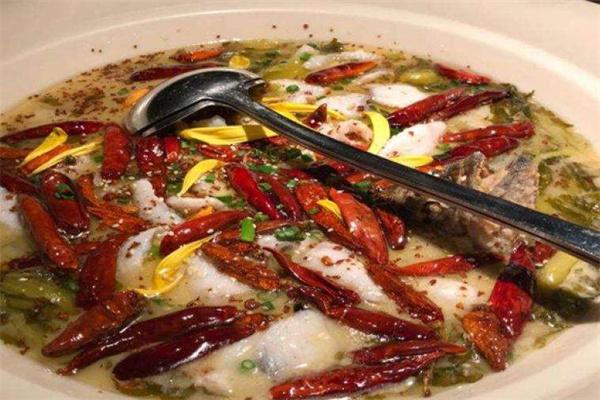 膜拜酸菜鱼
