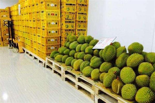 诚实果品水果