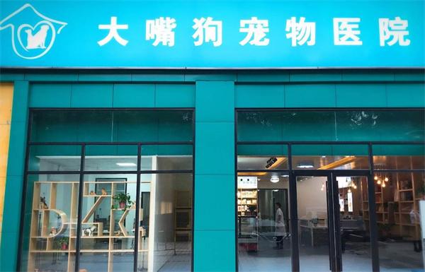 大嘴狗宠物医院