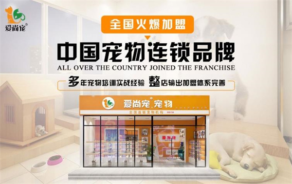 爱尚宠宠物店