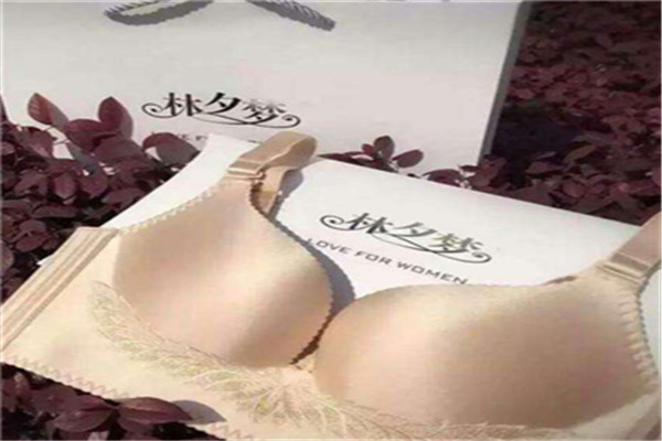 林夕梦文胸