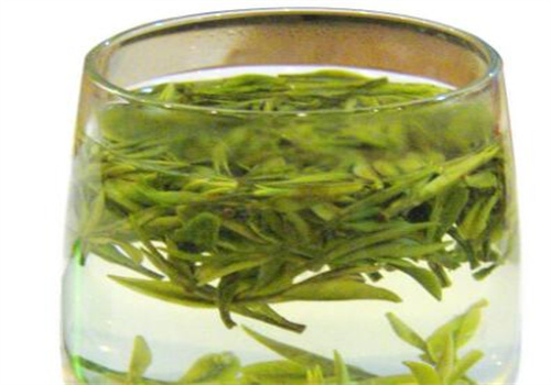 极白安吉白茶