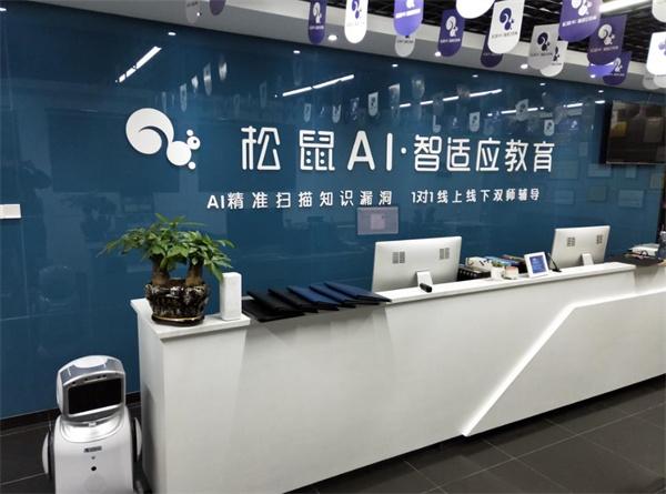 松鼠ai智适应教育