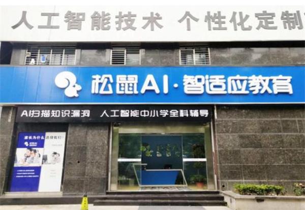 松鼠ai智适应教育