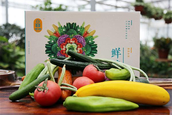 大阳光食品蔬菜加盟