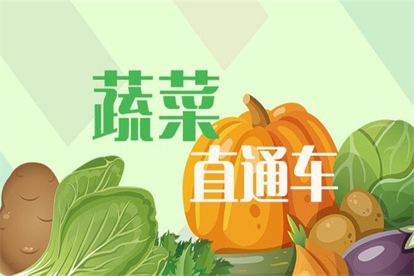 惠民蔬菜直通车加盟