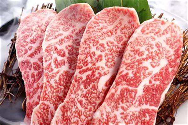 九木烤肉加盟