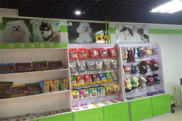 圣宠宠物店连锁