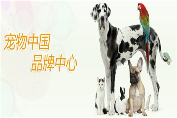 卫仕宠物产品加盟