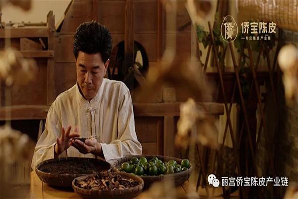 侨宝新会陈皮