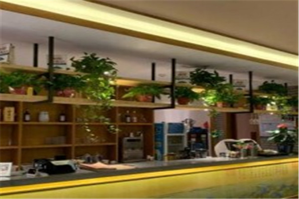 新月光茶楼加盟