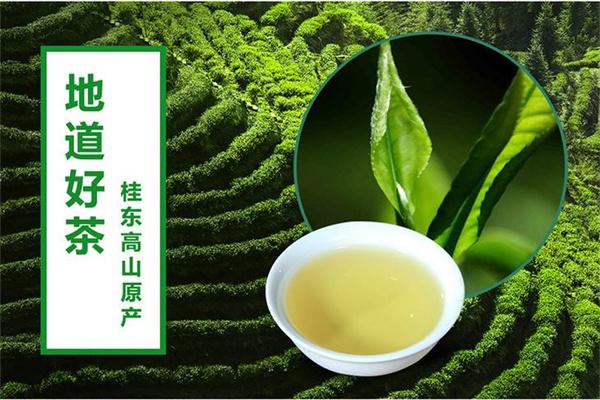 桂东玲珑茶加盟