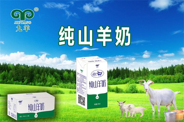 九羊羊奶